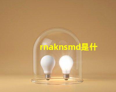 rnaknsmd是什么牌子衣服 Rnaknsmd什么意思